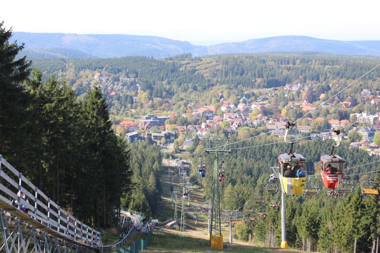 Ferienapartment Hahnenklee Apart 1 ゴスラー エクステリア 写真