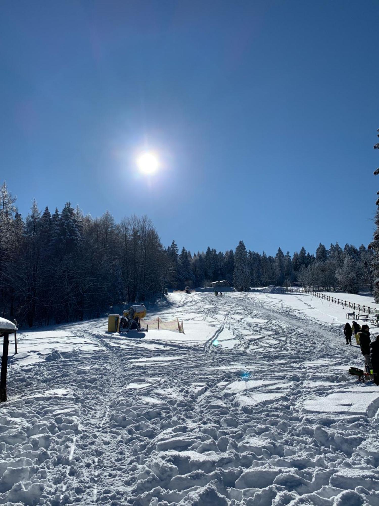 Ferienapartment Hahnenklee Apart 1 ゴスラー エクステリア 写真