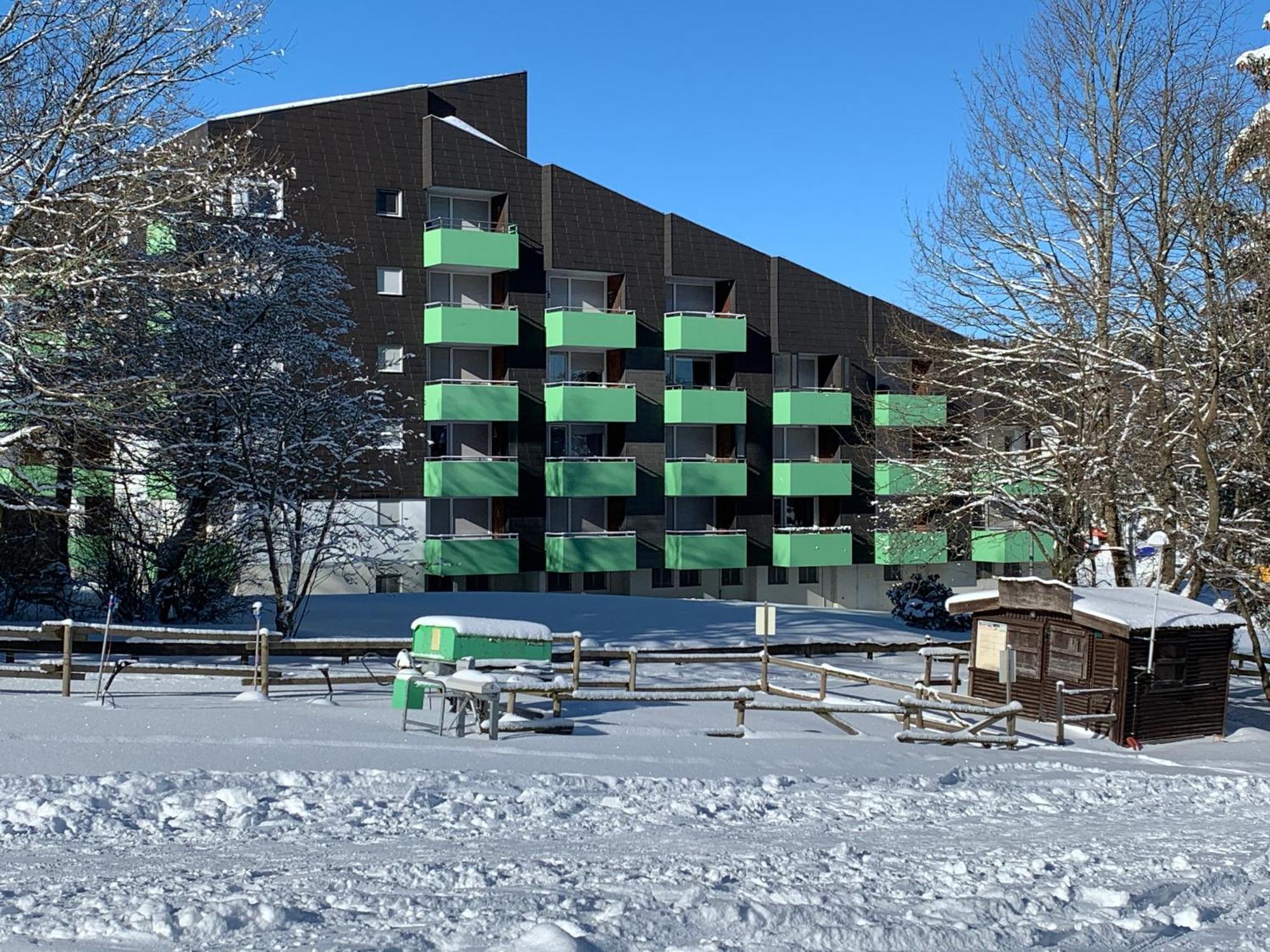 Ferienapartment Hahnenklee Apart 1 ゴスラー エクステリア 写真