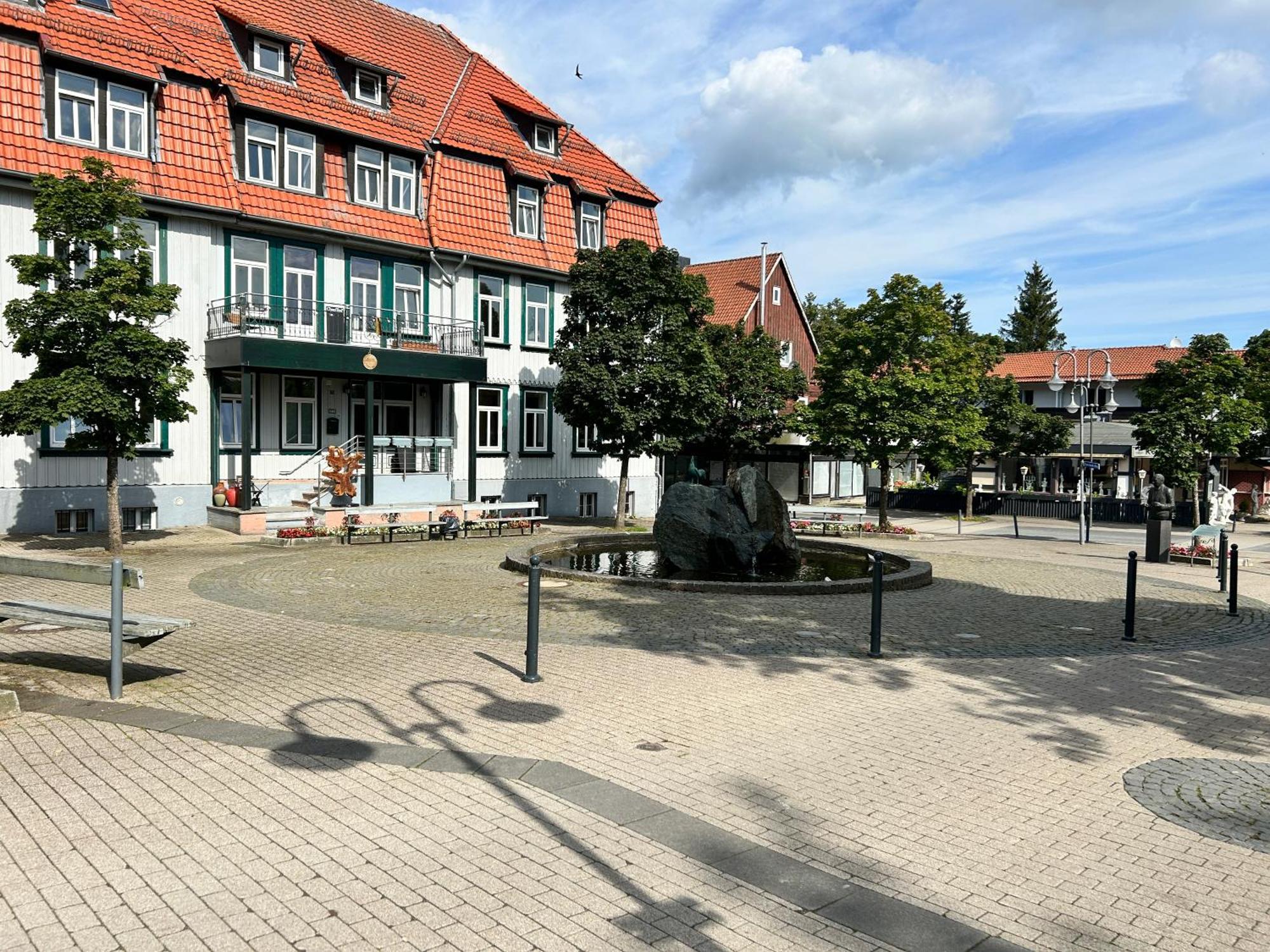 Ferienapartment Hahnenklee Apart 1 ゴスラー エクステリア 写真