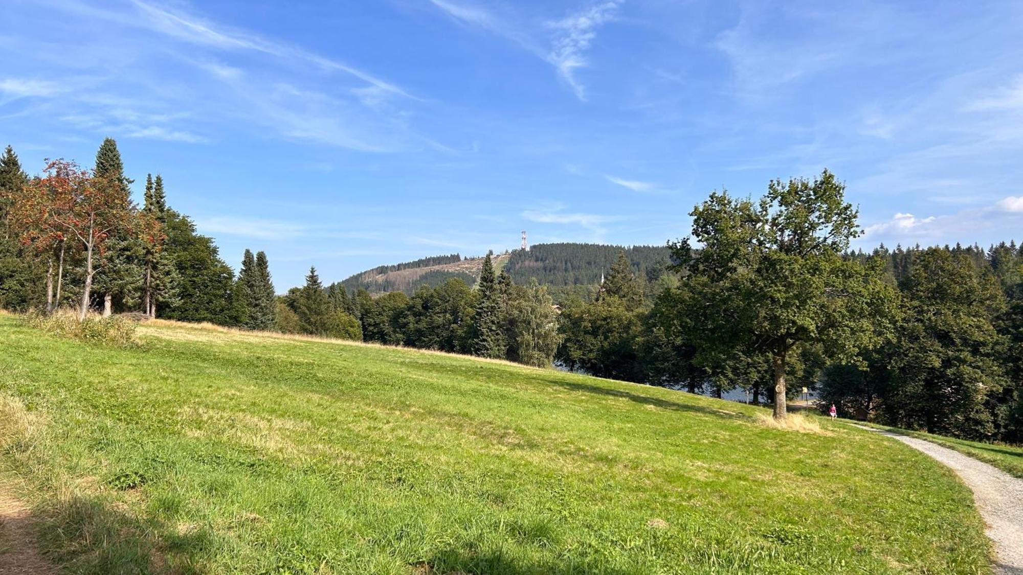 Ferienapartment Hahnenklee Apart 1 ゴスラー エクステリア 写真