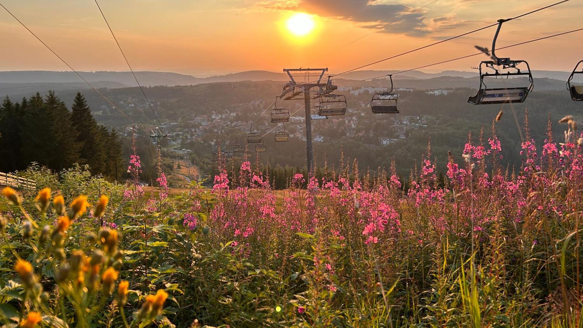 Ferienapartment Hahnenklee Apart 1 ゴスラー エクステリア 写真