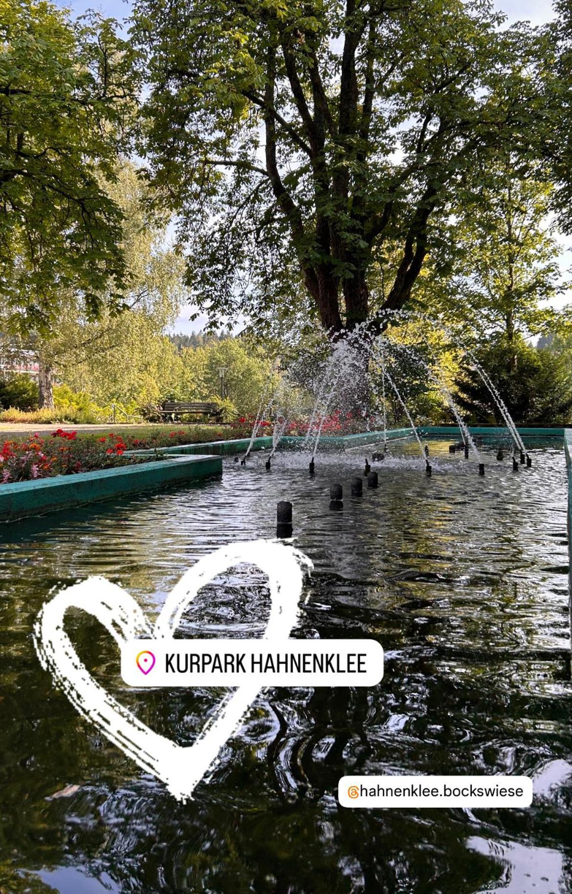 Ferienapartment Hahnenklee Apart 1 ゴスラー エクステリア 写真