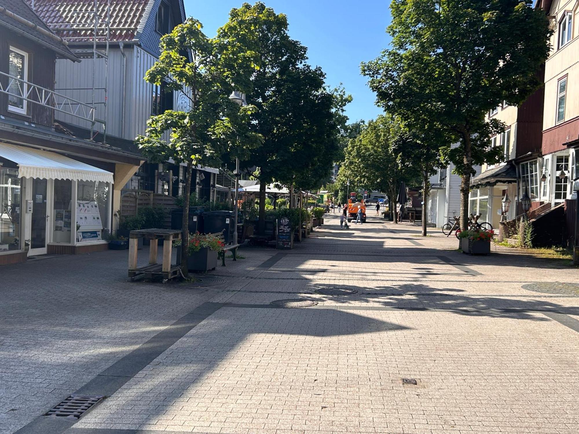Ferienapartment Hahnenklee Apart 1 ゴスラー エクステリア 写真