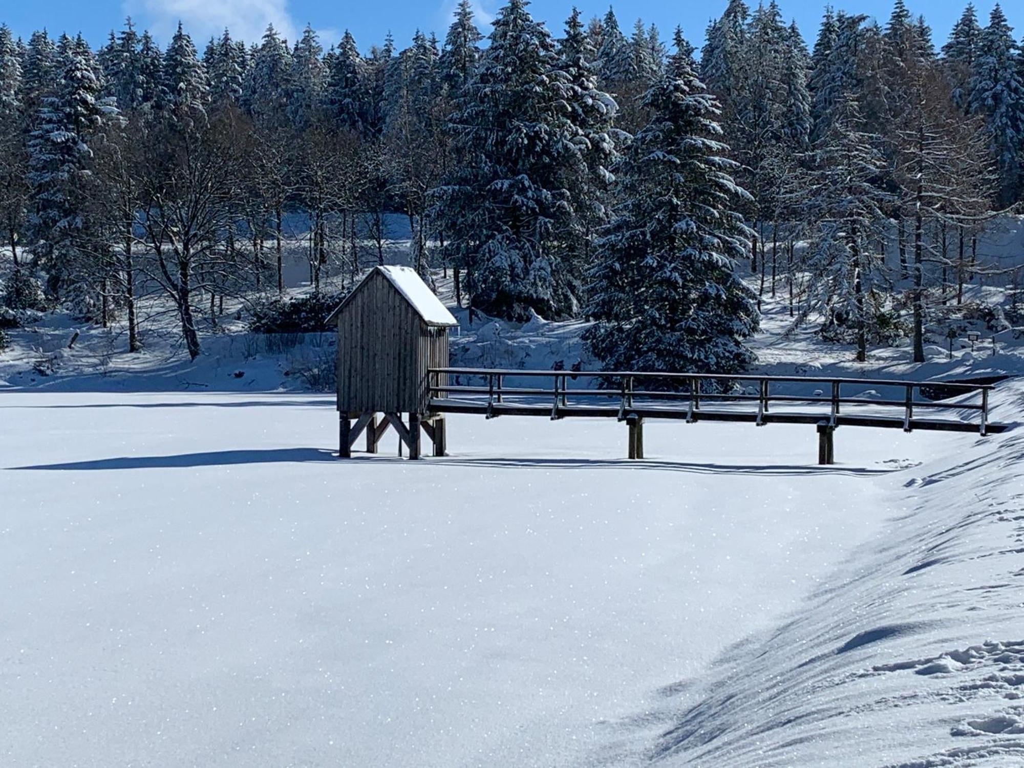 Ferienapartment Hahnenklee Apart 1 ゴスラー エクステリア 写真