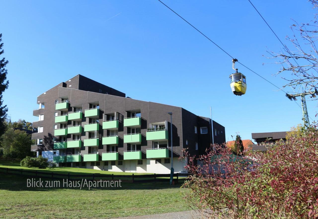 Ferienapartment Hahnenklee Apart 1 ゴスラー エクステリア 写真